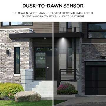 Amazon Basics A19 Dusk to Dawn Sensor LED Outdoor Light Bulb, 60W Equivalent, Energy-Efficient 9W, Daylight 2700K, E26 Base, 10,000 Hours, 2 Count (Pack of 1)