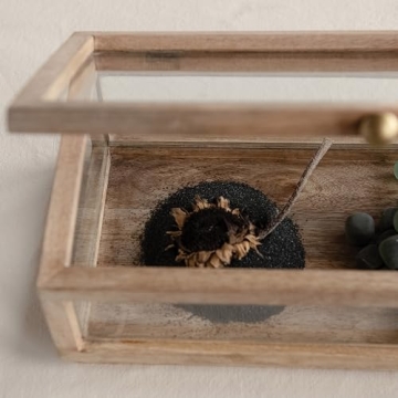 Elegant Mango Wood & Glass Display Box for Keepsakes