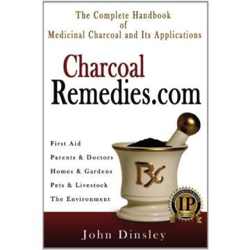 Charcoal Remedies by John Dinsley (2006) Paperback - Alternative Healing Guide