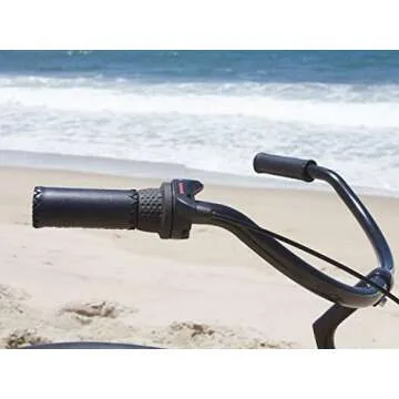 Cruise in Style with Firmstrong Bruiser Men's Beach Bike