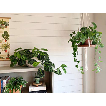 TIMEYARD Macrame Plant Shelf Hangers for Bohemian Decor