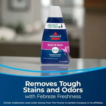 Portable Deep Cleaner - BISSELL Little Green