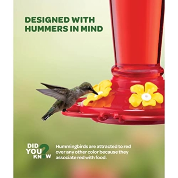 10oz Hummingbird Feeders Set of 2 with Ant Guard