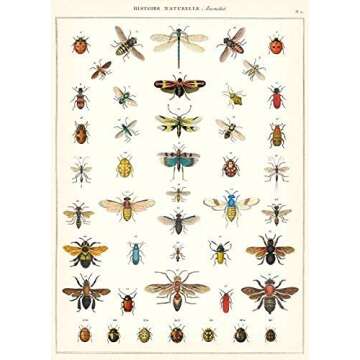 Cavallini Decorative Paper - Natural History Insects 20"x28" Sheet