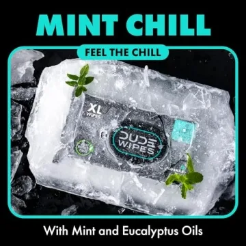 DUDE Wipes - Flushable Mint Chill Wet Wipes for Adults