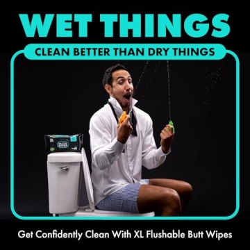 DUDE Wipes - Flushable Mint Chill Wet Wipes for Adults