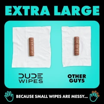 DUDE Wipes - Flushable Mint Chill Wet Wipes for Adults