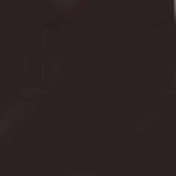 Faber-Castell PITT Artist Brush Pen - Sepia (175)