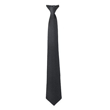 Aster Men's Clip-On Tie - Stylish Pre-Tied Neck Tie for Graduation, Weddings & More