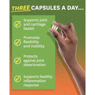 Zenwise Glucosamine Chondroitin MSM, Joint Support Supplement