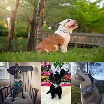 Babole Pet Dog Collar Easter Gift with Bow Tie, Egg Male Dog Collar with Safety Metal Buckle Adjusta...
