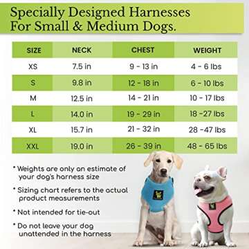 EcoBark Dog Harness - Eco-Friendly Max Comfort Harnesses - Luxurious Soft Mesh Halter - Over The Head Harness Vest- No Pull and No Choke for Puppy, Small Breeds & Medium Dogs (Large, Fuchsia Pink)