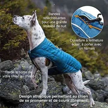 Kurgo Loft Dog Jacket, Reversible Dog Coat, Wear with Harness or Sweater, Water Resistant, Reflective, Winter Coat for Small Dogs (Ink Blue, S)