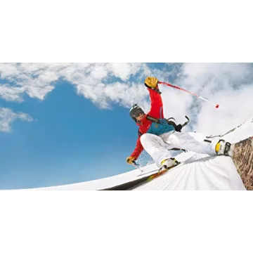 GoPro Hero 4 Black - 4K Action Camera with Pro Features