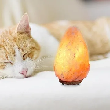 UMAID Himalayan Salt Lamp 8-10 inch (7-11 lb) with Dimmable Switch and Night Light Bulb on Handcrafted Wooden Base, Natural Pink Rock Salt Lamp