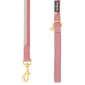 Blueberry Pet Polyester Fabric Webbing and Soft Genuine Leather Dog Leash with Soft & Comfortable Handle, 6 ft x 1", Pink and Grey, Leashes for Dogs