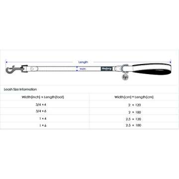 Blueberry Pet Polyester Fabric Webbing and Soft Genuine Leather Dog Leash with Soft & Comfortable Handle, 6 ft x 1", Pink and Grey, Leashes for Dogs