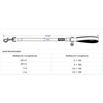 Blueberry Pet Polyester Fabric Webbing and Soft Genuine Leather Dog Leash with Soft & Comfortable Handle, 6 ft x 1", Pink and Grey, Leashes for Dogs