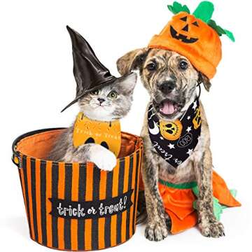 8 Halloween Dog Bandanas for Pets - Fun Festive Costumes