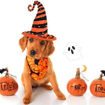 8 Halloween Dog Bandanas for Pets - Fun Festive Costumes