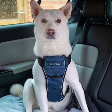 CarSafe Crash Tested Dog Safety Harness - Crash Tested to 32Kg/70lbs, Safely Secure Dog in The Car, ...