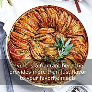 100% Organic Thyme - Fresh Natural Flavor for Cooking and Tea