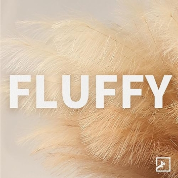 Elegant ZIFTY Faux Pampas Grass Set for Stunning Decor