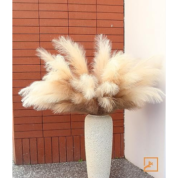 Elegant ZIFTY Faux Pampas Grass Set for Stunning Decor