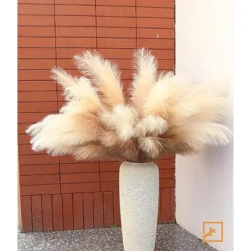 Elegant ZIFTY Faux Pampas Grass Set for Stunning Decor
