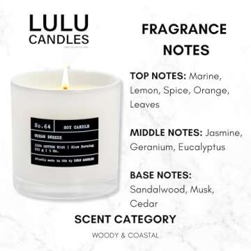 Lulu Candles Ocean Breeze | Highly Scented Luxury Soy Candle | 9 Oz.