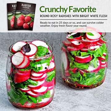 Survival Garden Seeds - Champion Radish Seed for Planting - Packet with Instructions to Plant and Grow Red Radishes in Your Home Vegetable Garden - Non-GMO Heirloom Variety Vegetable Seed