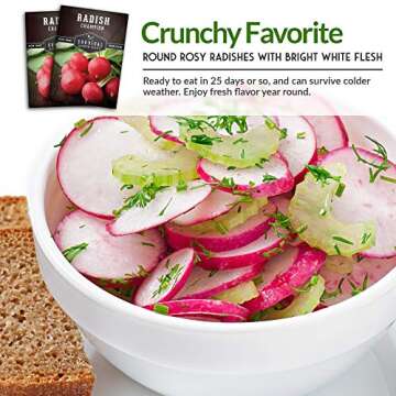 Survival Garden Seeds - Champion Radish Seed for Planting - Packet with Instructions to Plant and Grow Red Radishes in Your Home Vegetable Garden - Non-GMO Heirloom Variety Vegetable Seed