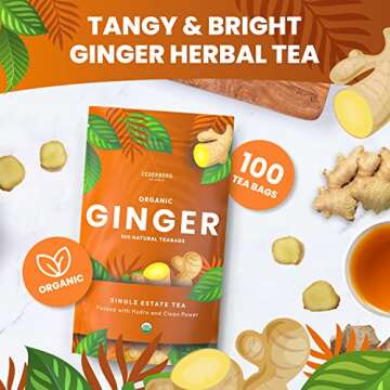 Organic Ginger Tea — 100 Tea Bags | Organic Herbal Tea From Single Origin | Eco-Friendly Tea Bags ...