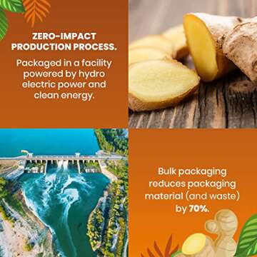 Organic Ginger Tea — 100 Tea Bags | Organic Herbal Tea From Single Origin | Eco-Friendly Tea Bags | Non-GMO Caffeine Free Tea | Cederberg Tea Company