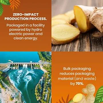 Organic Ginger Tea — 100 Tea Bags | Organic Herbal Tea From Single Origin | Eco-Friendly Tea Bags | Non-GMO Caffeine Free Tea | Cederberg Tea Company