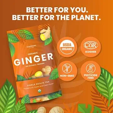 Organic Ginger Tea — 100 Tea Bags | Organic Herbal Tea From Single Origin | Eco-Friendly Tea Bags | Non-GMO Caffeine Free Tea | Cederberg Tea Company