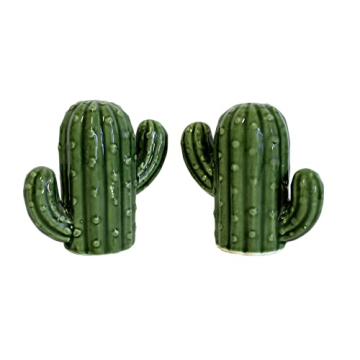 Hand-Painted Ceramic Cactus Salt & Pepper Set - Unique Kitchen Gift