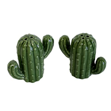 Hand-Painted Ceramic Cactus Salt Pepper Set Kitchen Gift