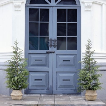 4ft Norfolk Pine Tree Perfect for Holiday Decor