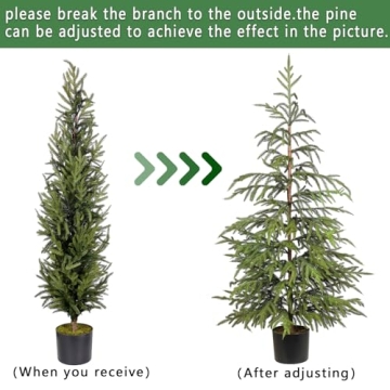 4ft Norfolk Pine Tree Perfect for Holiday Decor