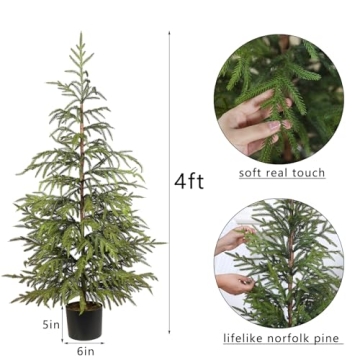 4ft Norfolk Pine Tree Perfect for Holiday Decor