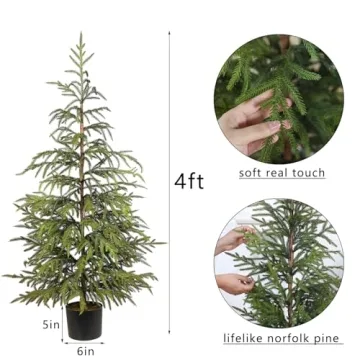 4ft Norfolk Pine Tree Perfect for Holiday Decor