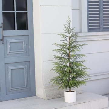 4ft Norfolk Pine Tree Perfect for Holiday Decor