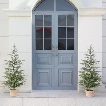 4ft Norfolk Pine Tree Perfect for Holiday Decor