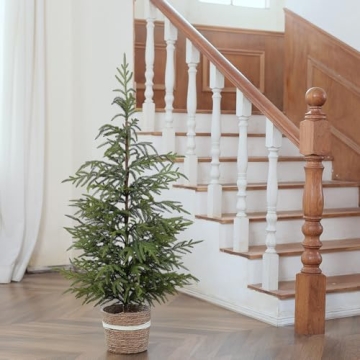 4ft Norfolk Pine Tree Perfect for Holiday Decor