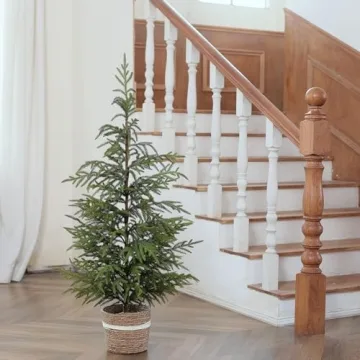 4ft Norfolk Pine Tree Perfect for Holiday Decor