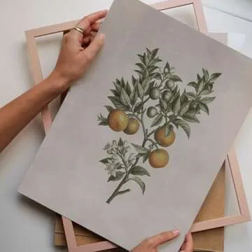 Vintage Wall Art, Vintage Birds, Sketch Art Decor, Botanical Prints For Framing, Landscape Wall Art, Country Wall Art, Farmhouse Art Prints, French Country Farmhouse Decor Set 9 (11x14 IN UNFRAMED)