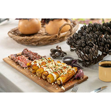 Megamaster Premium 2-Burner Grill for Outdoor Cooking