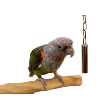 Medium Stainless Steel Bell Toy for Parrot