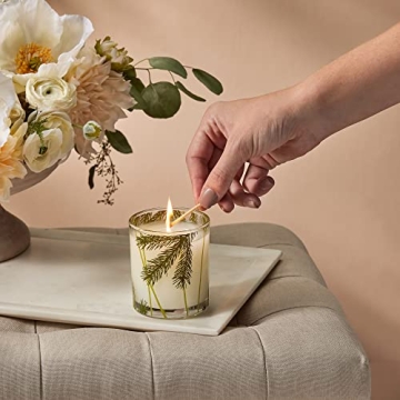 Thymes Frasier Fir Pine Needle Candles for Home Scented - Notes of Crisp Siberian Fir, Cedarwood & Sandalwood - Holiday Pine Candle - Home Decor Gifts for Women & Men (6.5 oz)